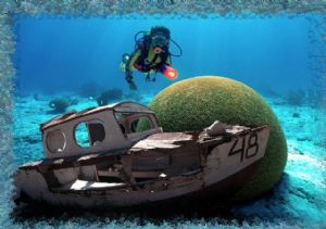 Diver over a braincoral and a shipwrack by Renate Kraft 